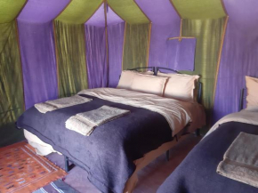 Desert camp belkacem